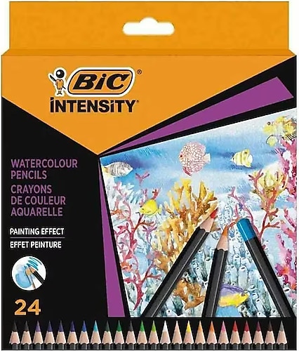 Bic Intensty Kuru Sulu Boya 24 Lü 511727