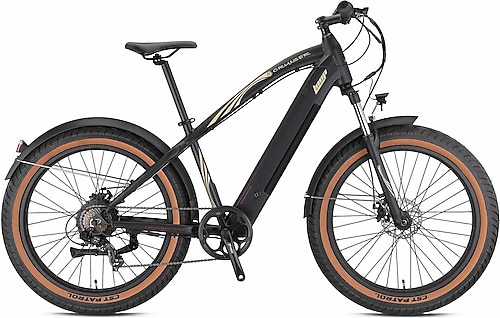 Loop Cruiser Elektrikli Bisiklet